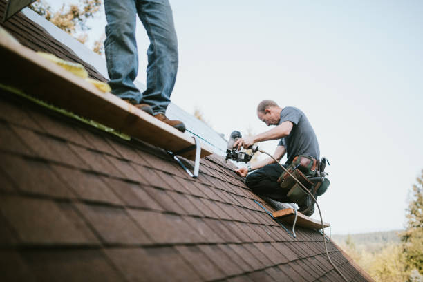 Best Metal Roofing Contractor  in Whiteriver, AZ